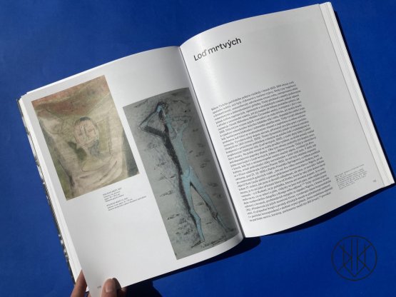 František Tichý: Muž na napjatém laně