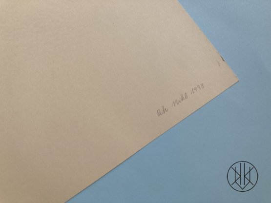 Petr Nikl: Letící netopýr