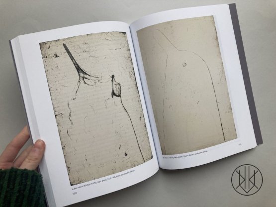 Růst a světlo tvarů: Aspekty díla Miloše Ševčíka