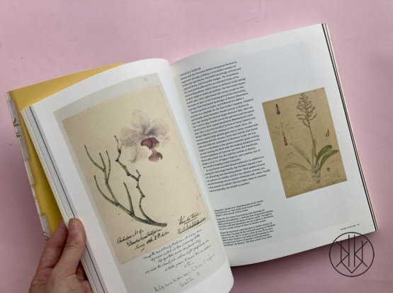 Botanical Sketchbooks