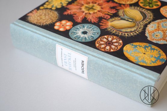 The Art and Science of Ernst Haeckel