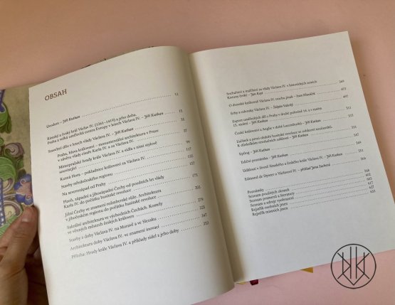 Václav IV.: Římský a český král