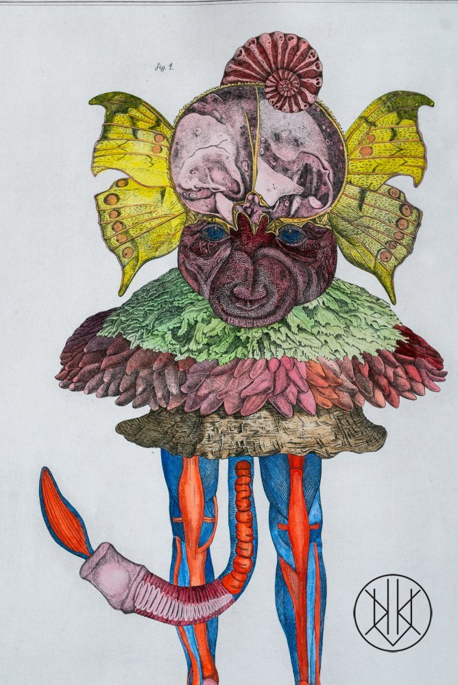Jan Švankmajer Jan Švankmajer - Wikipedia