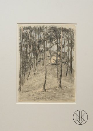 Hana Jedličková: The Forest Hill