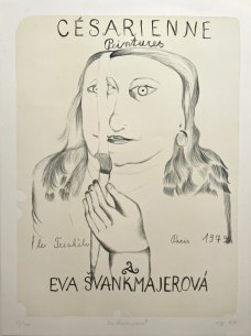 Eva Švankmajerová, Césarienne Peintures
