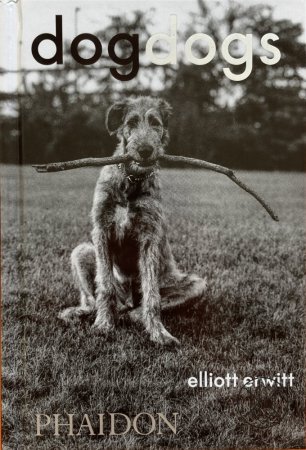 DogDogs