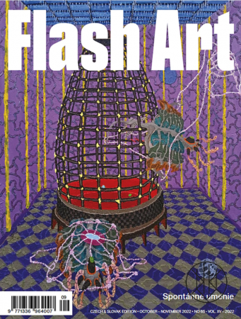 FLASH ART #65