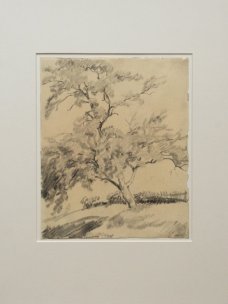 Jan Autengruber: The Tree