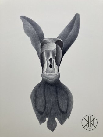 Petr Nikl: Štíhlá orchidej