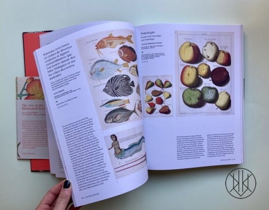 The Art of The Illustrated Book