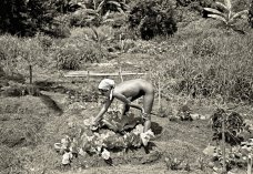 John Wehrheim: Debi in the Garden