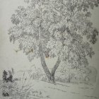 Havránek Bedřich
