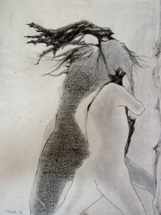 Václav Tikal, drawing