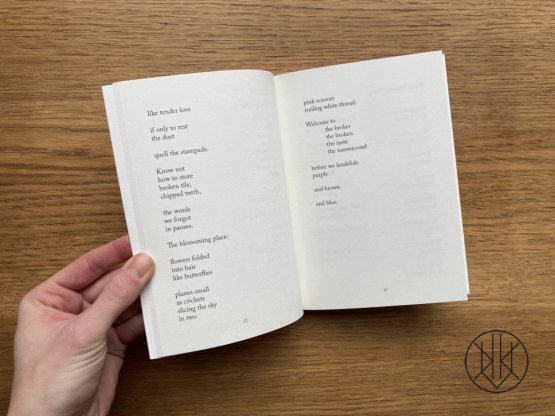 Allie Rigby: Moonscape for a Child