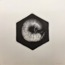 Petr Nikl: The Bee 1