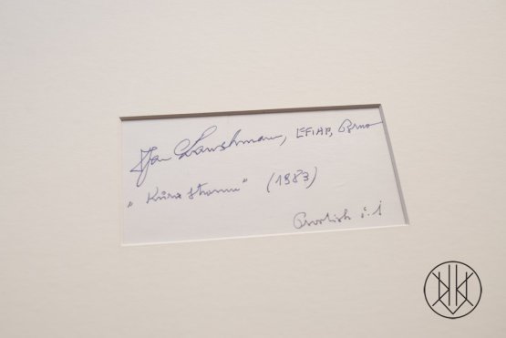 Jan Lauschmann - Kůra stromu