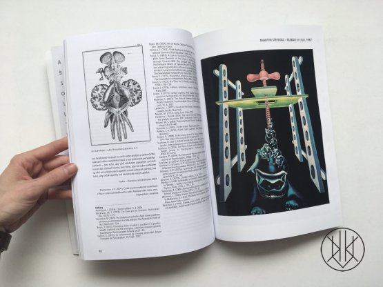 ANALOGON 105: Anomálie a každodenní panoptikum