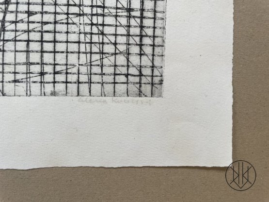 Alena Kučerová, Bez názvu (síť)