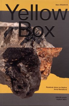 Yellow Box