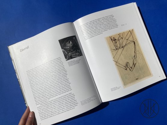 František Tichý: Muž na napjatém laně