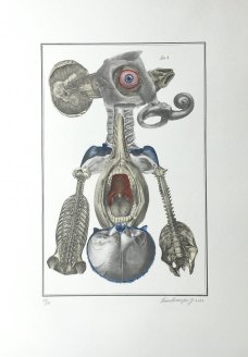 Jan Švankmajer: Bilderlexikon - Nesoustavná anatomie 1