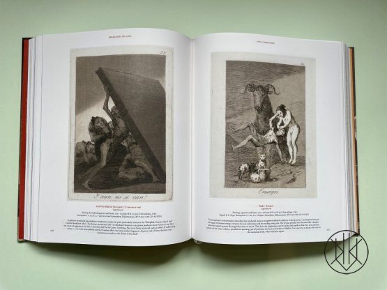 Goya: The Complete Prints