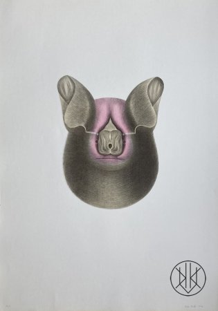 Petr Nikl: Tlustý netopýr