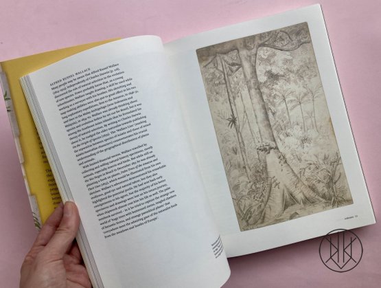 Botanical Sketchbooks