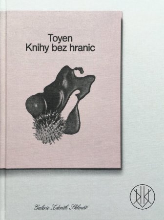 Toyen: Knihy bez hranic