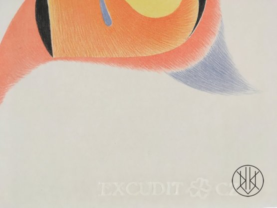 Petr Nikl: The Parrot with an yellow eye