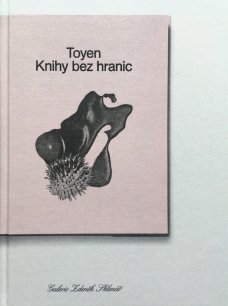 Toyen: Knihy bez hranic