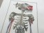 Jan Švankmajer: Bilderlexikon - Nesoustavná anatomie 5