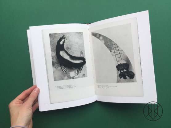Laszlo Moholy–Nagy – 60 Fotos