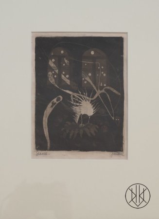Josef Váchal - Seance, 1907