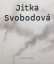 Jitka Svobodová. Obrazy, kresby, objekty 1965–2021