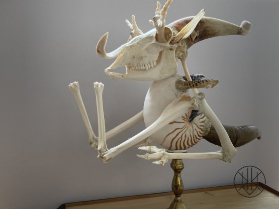 Jan Švankmajer: Zvíře Kašpar | Knihkupectví a umělecká galerie KAVKA