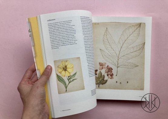Botanical Sketchbooks