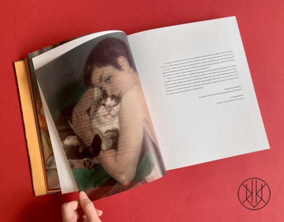 Renoir: The Painter and His Models