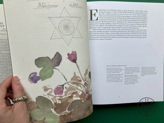 Hilma af Klint: What Stands Behind the Flowers