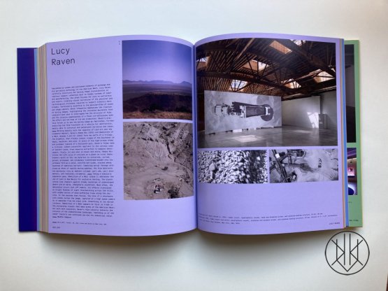 Vitamin V: Video and the Moving Image in Contemporary Art