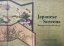 Japanese Screens