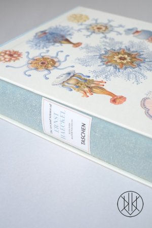 The Art and Science of Ernst Haeckel
