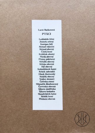 Lucie Raškovová: Ptáci