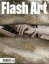 Flash Art #72
