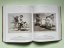 Goya: The Complete Prints
