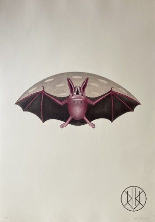 Petr Nikl: Letící netopýr