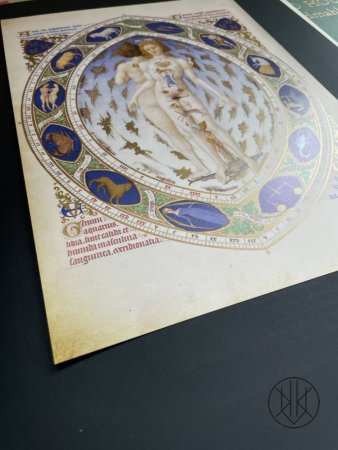 Samostatné listy - Zvěrokruh v lidské postavě - The Zodiac Man (Faksimile)