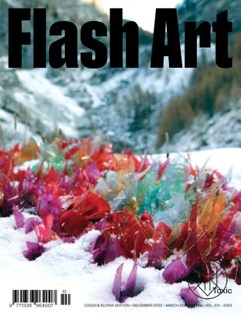 FLASH ART #66