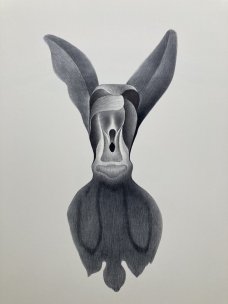 Petr Nikl: Štíhlá orchidej