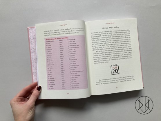 Japonský rok: Stručný průvodce japonskou historií a kulturou